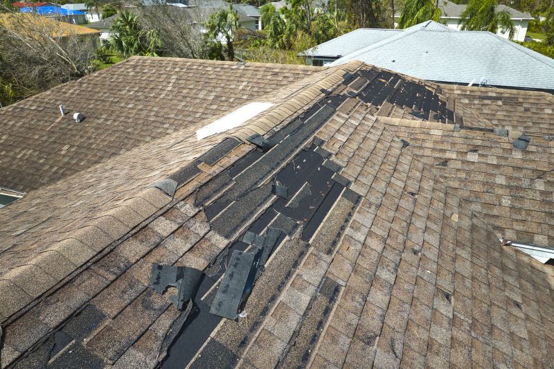 Professional Roof Replacement